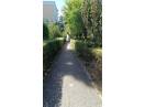 Apartament cu 3 camere, 60mp, Gheorgheni/ Detunata